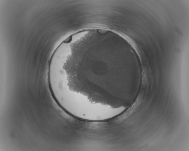 X0000112911390200909211022