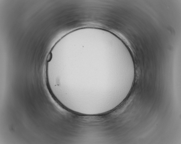 X0000112911391200909211022