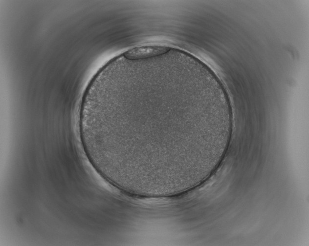 X0000112911392200909211022