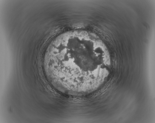 X0000112911393200909211021