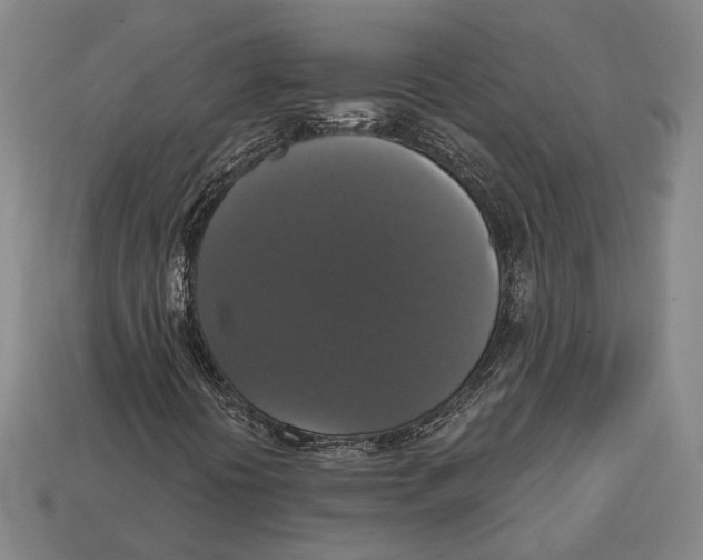 X0000112911394200909211021