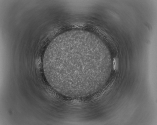 X0000112911395200909211021