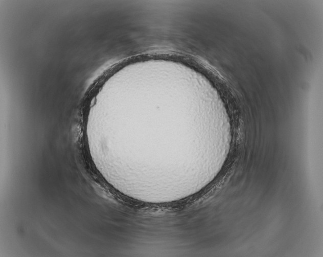 X0000112911400200909211021