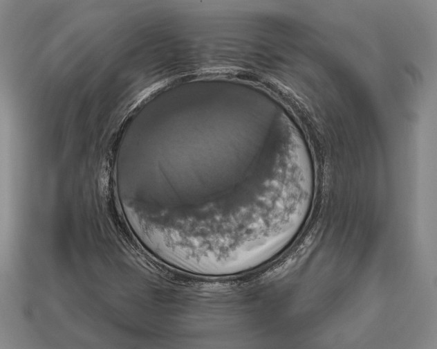 X0000112911401200909211021