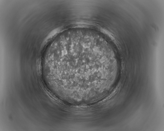 X0000112911403200909211021