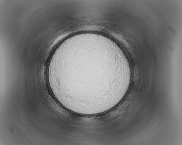 X0000112911404200909211021