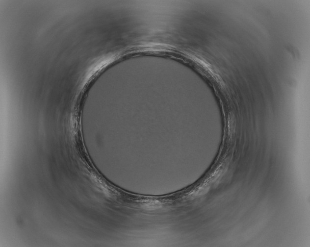 X0000112911405200909211021