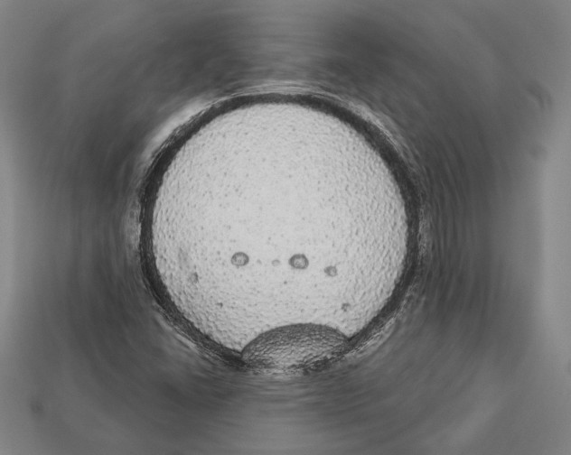 X0000112911406200909211021