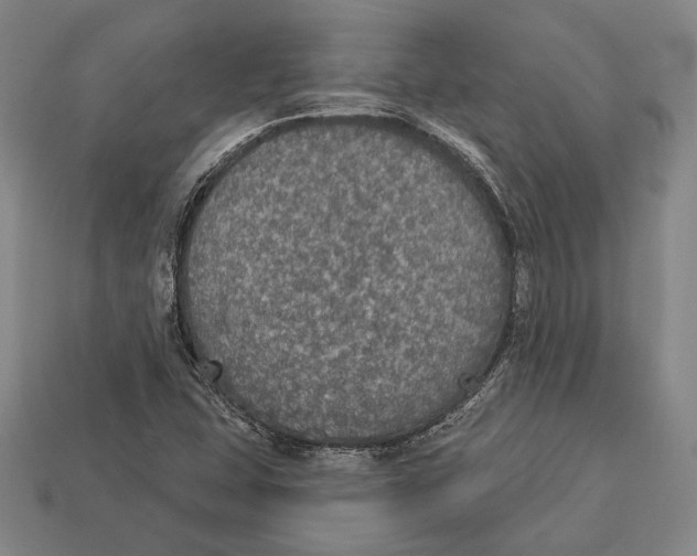 X0000112911407200909211021