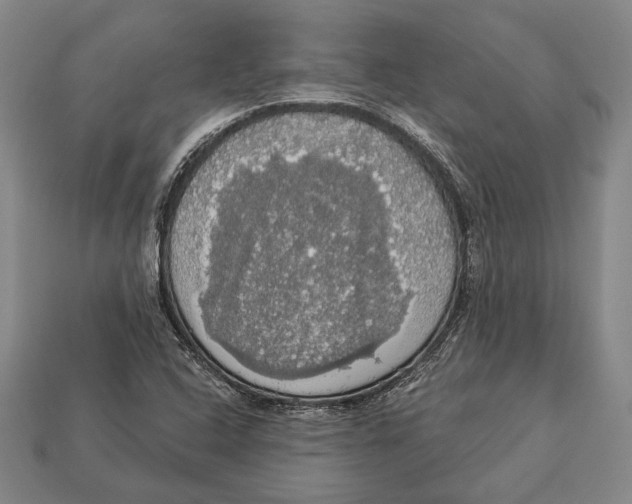 X0000112911408200909211021