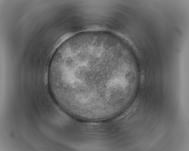 X0000112911409200909211021