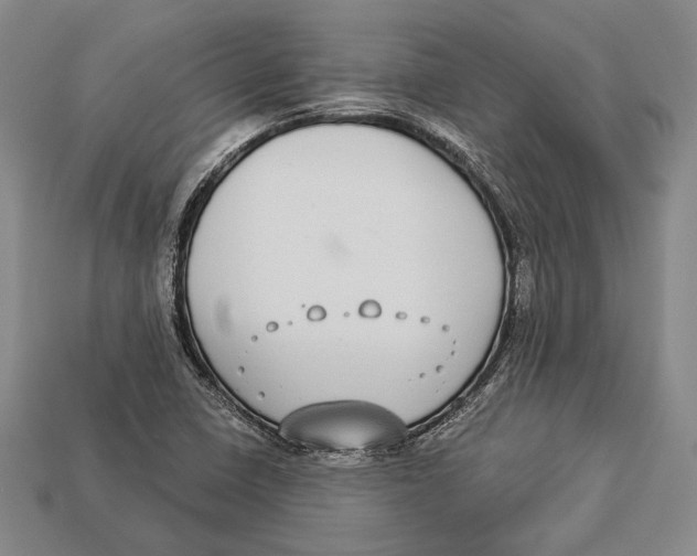 X0000112911410200909211021