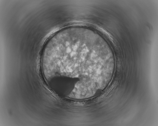 X0000112911411200909211021