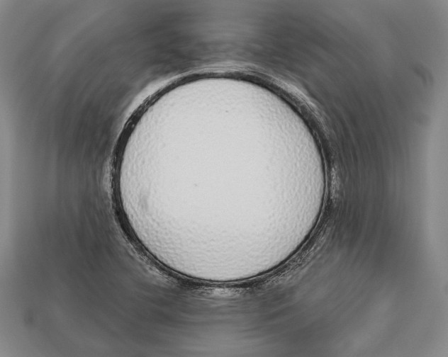 X0000112911412200909211021