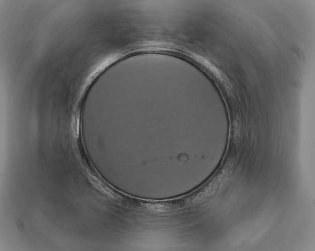 X0000112911413200909211021