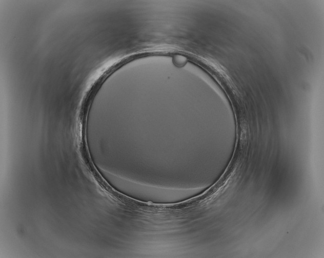 X0000112911414200909211021