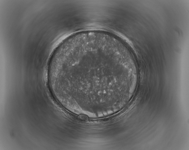 X0000112911415200909211021