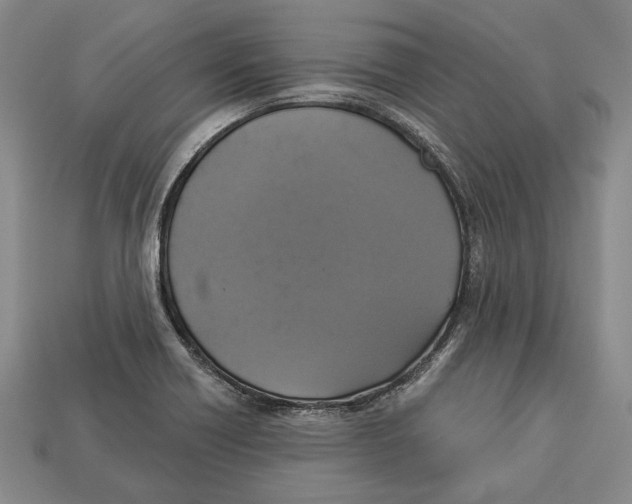 X0000112911418200909211022