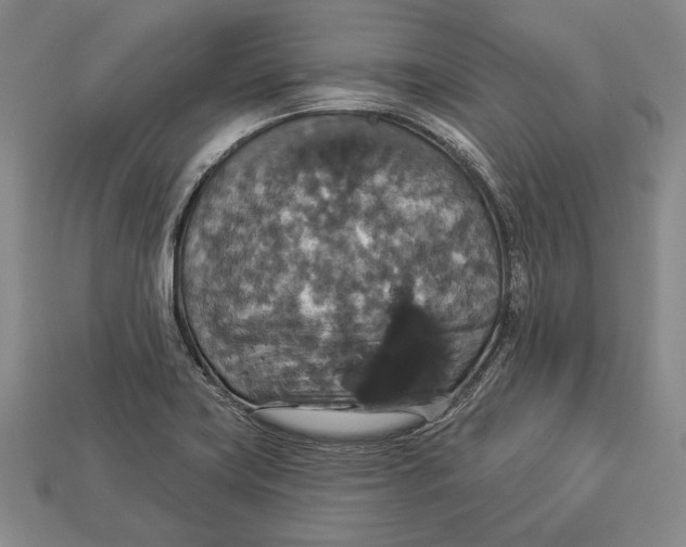 X0000112911419200909211022