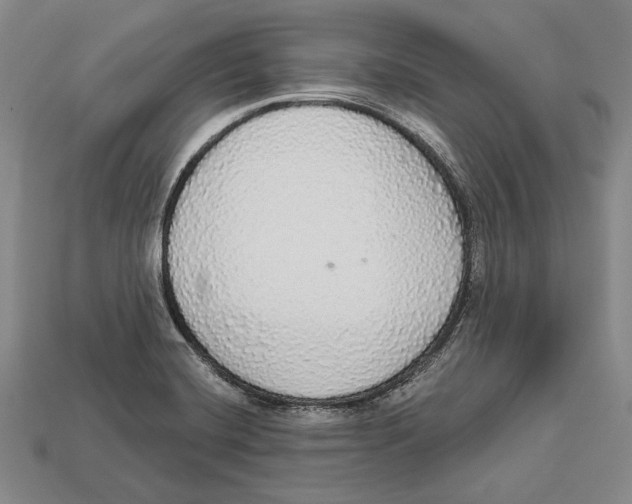 X0000112911420200909211022