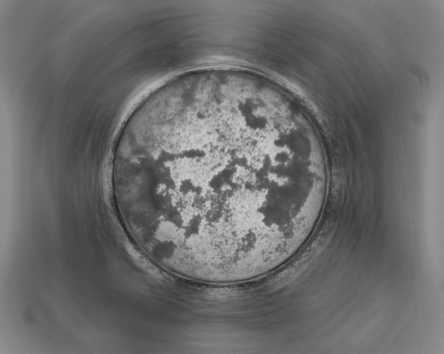 X0000112911421200909211022