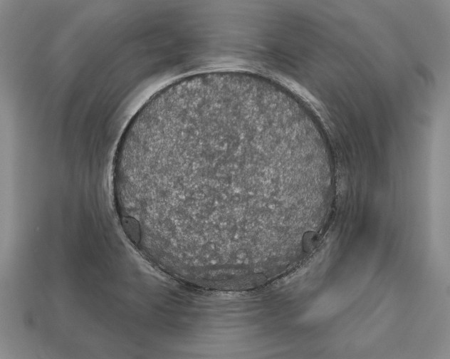 X0000112911423200909211022