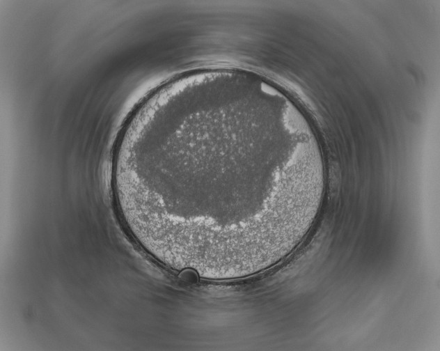 X0000112911424200909211022