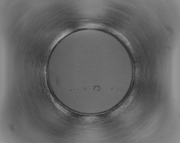 X0000112911425200909211022