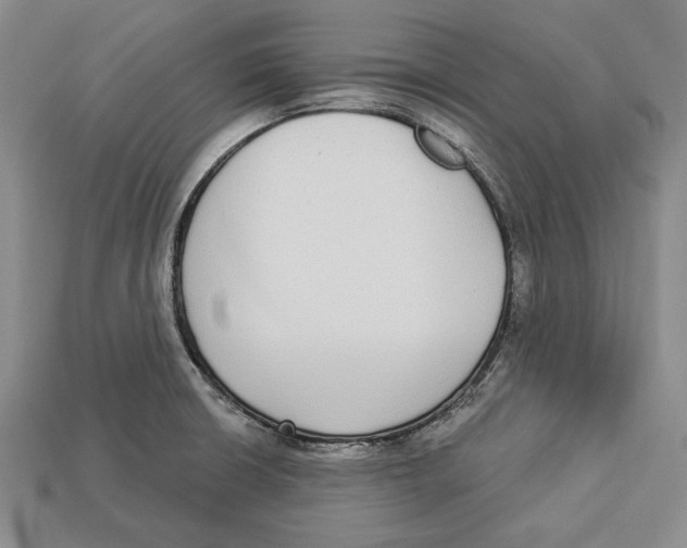 X0000112911426200909211022