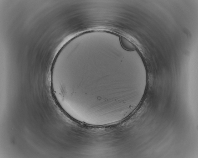 X0000112911428200909211022