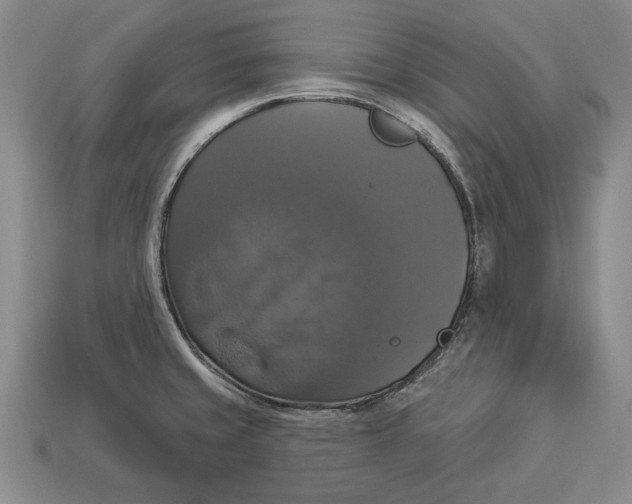 X0000112911429200909211022