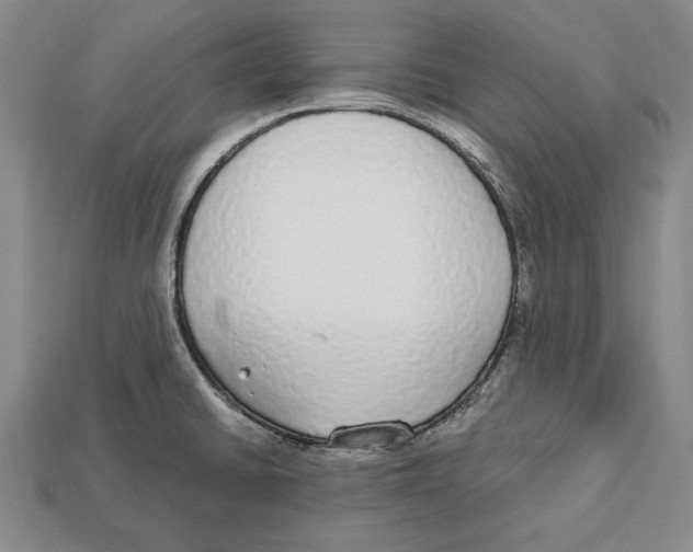 X0000112911430200909211022