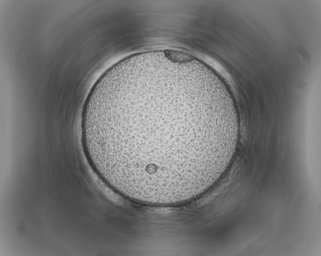 X0000112911431200909211022