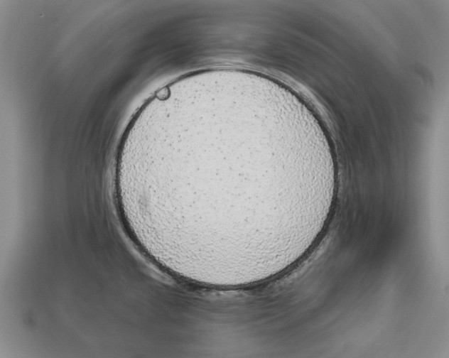 X0000112911432200909211022