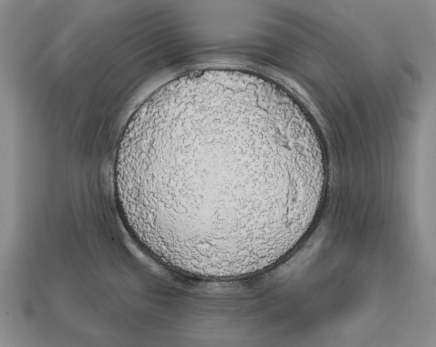 X0000112911433200909211022