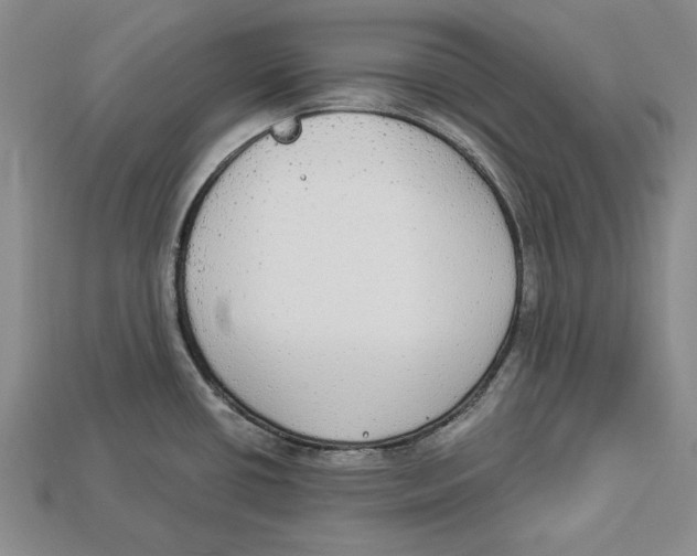 X0000112911434200909211022