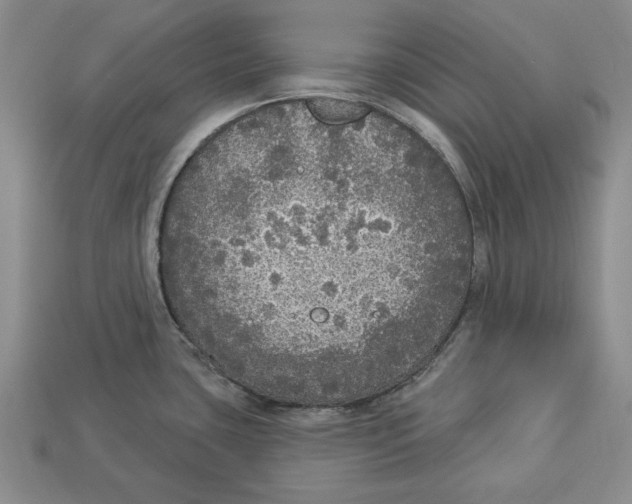 X0000112911435200909211022