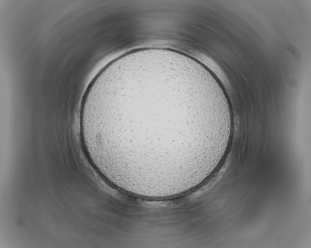 X0000112911436200909211022