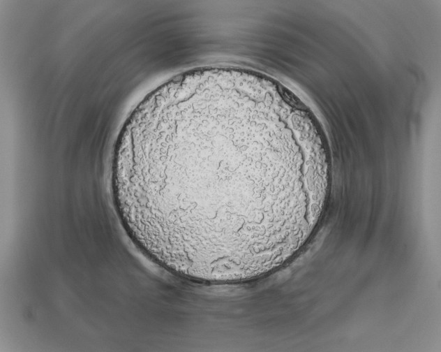 X0000112911437200909211022