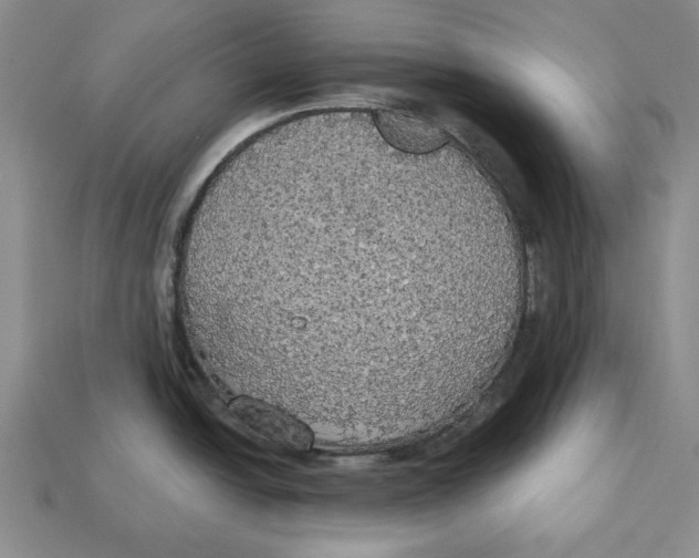 X0000112911438200909211022