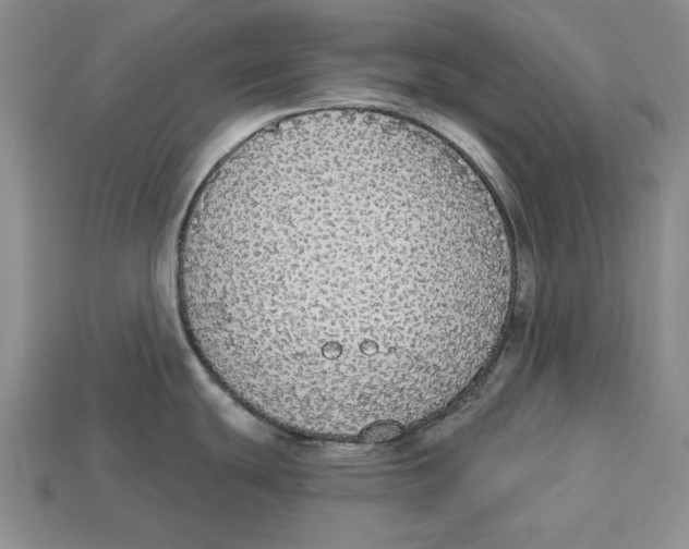 X0000112911439200909211022