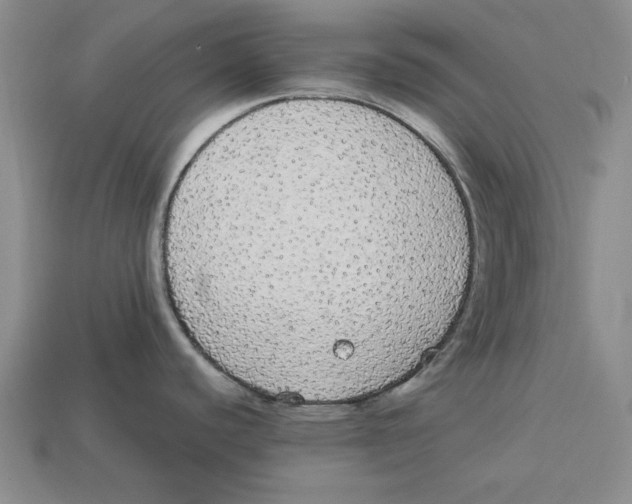 X0000112911440200909211022