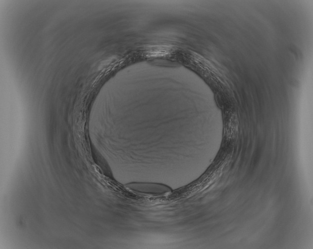 X0000112911441200909211021