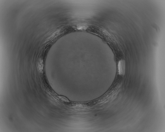 X0000112911443200909211021