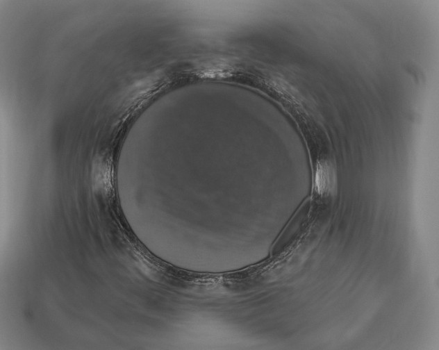 X0000112911444200909211021