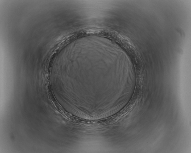 X0000112911445200909211021