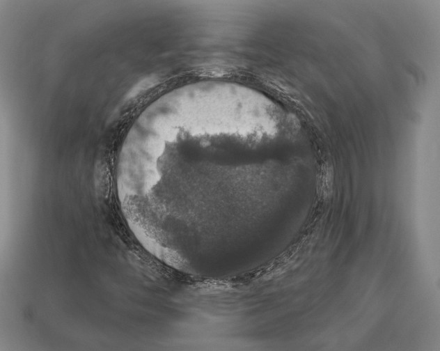 X0000112911446200909211021