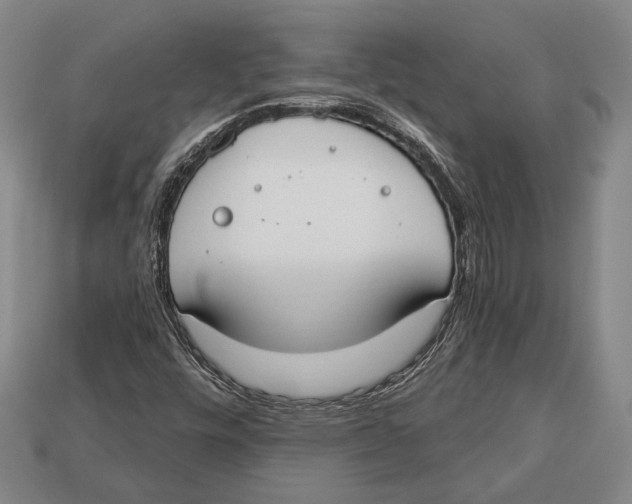 X0000112911448200909211021