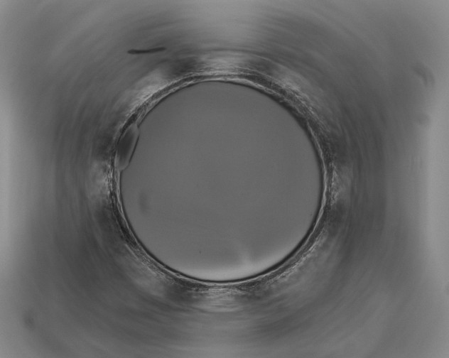 X0000112911449200909211021