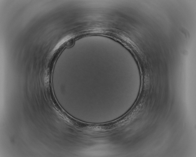 X0000112911450200909211021